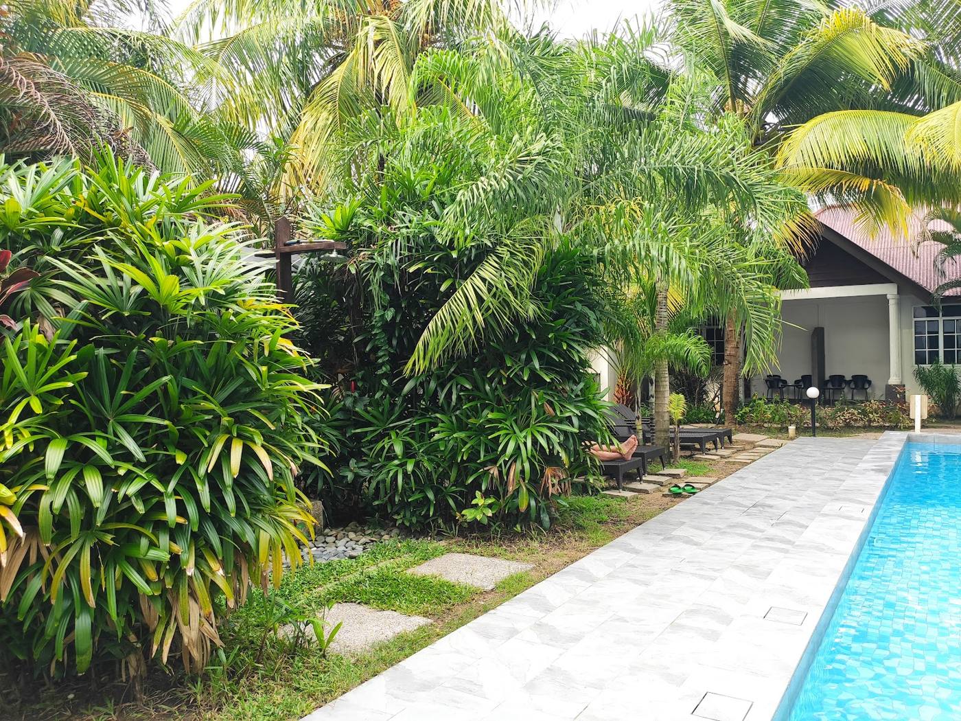 Garden path beside the White Lodge pool